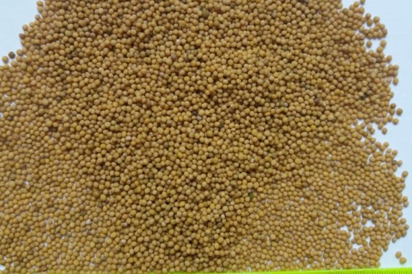 Кракен маркетплейс работает