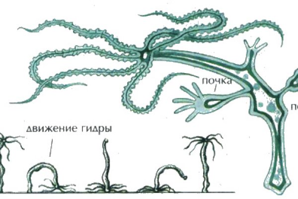 Рабочее зеркало кракен store