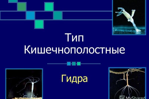 Ссылка на кракен тор магазин