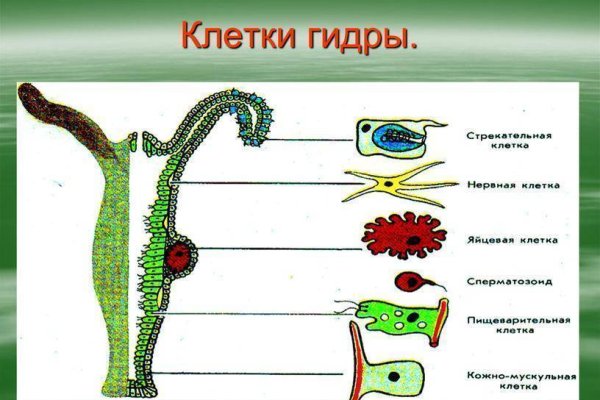 Кракен маркетплейс ссылка krakenat2krnkrnk com