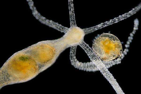 Кракен ссылка зайти