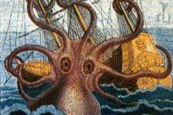 Kraken что это за магазин