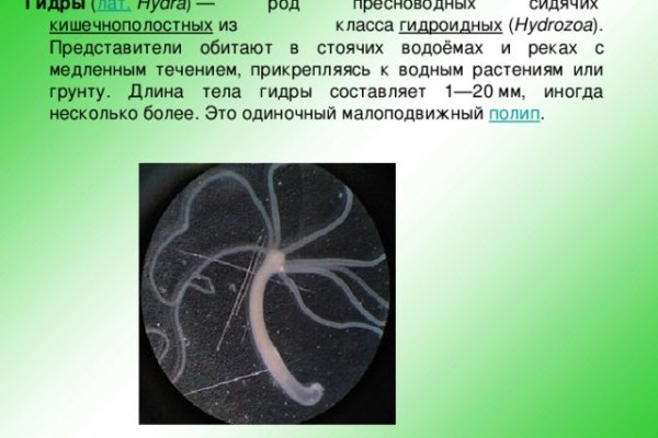 Kraken актуальное