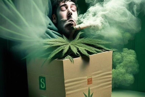 Сайт кракена в торе