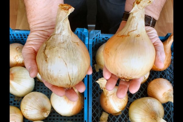 Кракен сыл ссылка