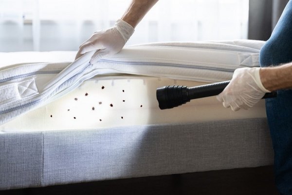 Как купить наркотик в кракен