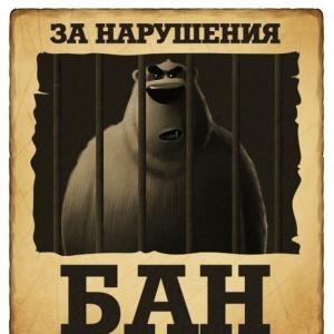 Можно вывести деньги с кракена