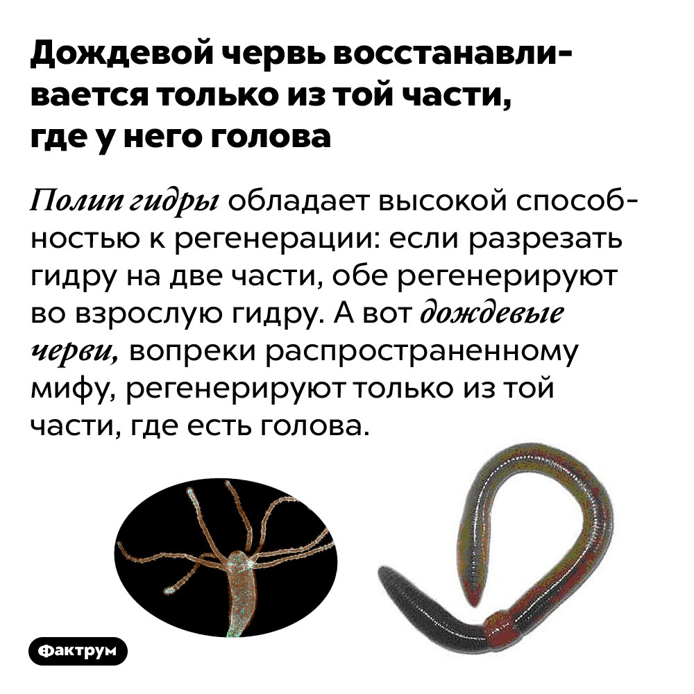 Кракен даркнет официальный сайт